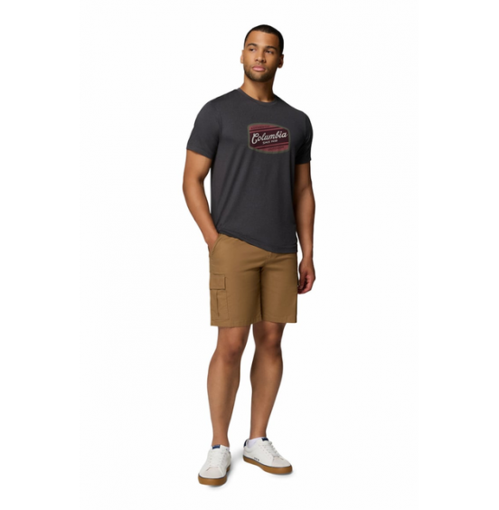 COLUMBIA ΑΝΔΡΙΚΟ ΤΕΧΝΙΚΟ T-SHIRT PARSONS POINT GRAPHIC TEE 2165071-011 BLACK HEATHER