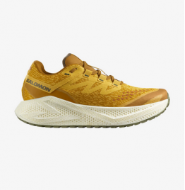 SALOMON AERO GLIDE 3 GRVL ΑΝΔΡΙΚΑ ΠΑΠΟΥΤΣΙΑ ΓΙΑ ΤΡΕΞΙΜΟ 478120 SPICY MUSTARD VANILLA ICE GREEN