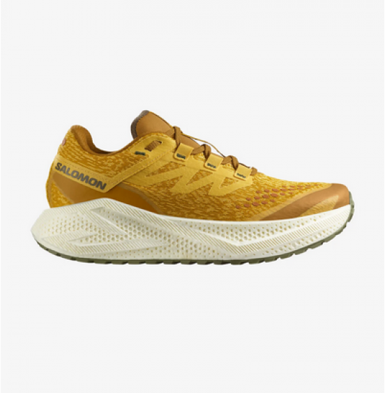 SALOMON AERO GLIDE 3 GRVL ΑΝΔΡΙΚΑ ΠΑΠΟΥΤΣΙΑ ΓΙΑ ΤΡΕΞΙΜΟ 478120 SPICY MUSTARD VANILLA ICE GREEN