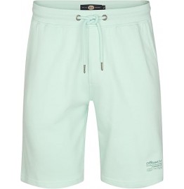 PETROL INDUSTRIES ΑΝΔΡΙΚΗ ΒΕΡΜΟΥΔΑ M-1060-SHO867-6181 LIGHT MINT