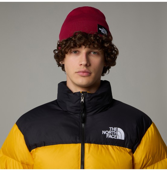 THE NORTH FACE DOCKWKR RCYLD BEANIE NF0A3FNT1ΙΧ ΒΕΕΤΡΟΟΤ