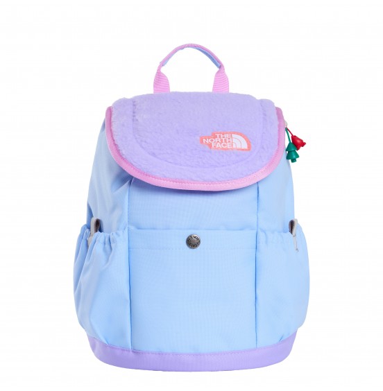 THE NORTH FACE YOUTH MINI EXPLORER BACKPACK NF0A52VW0OY CORNFLOWER PURPLE