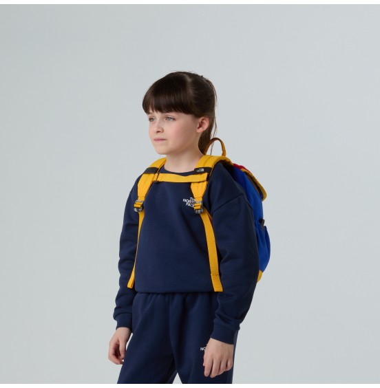 THE NORTH FACE YOUTH MINI EXPLORER BACKPACK NF0A52VWATM RED GREEN