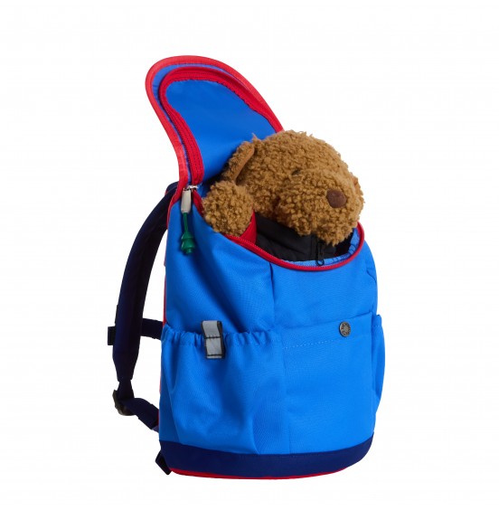 THE NORTH FACE YOUTH MINI EXPLORER BACKPACK NF0A52VWZQA BLUE RED