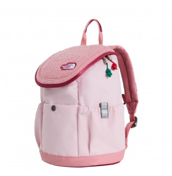 THE NORTH FACE YOUTH MINI EXPLORER BACKPACK NF0A52VWZX2 PALE ROSE