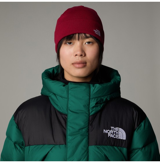 THE NORTH FACE NORM SHALLOW BEANIE NF0A5FVZ1IX BEETROOT 