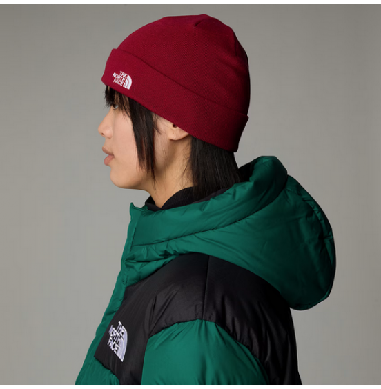 THE NORTH FACE NORM SHALLOW BEANIE NF0A5FVZ1IX BEETROOT 