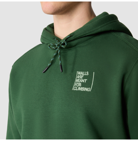 THE NORTH FACE M OUTDOOR GRAPHIC HOODIE NF0A8522I0P1 PINE NEED