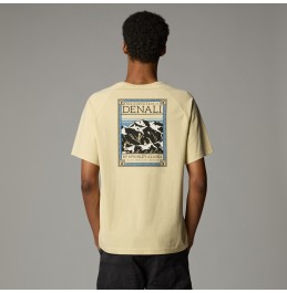 THE NORTH FACE M NORTH FACES TEE NF0A87NU3X41 GAVEL