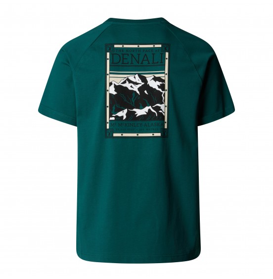 THE NORTH FACE M NORTH FACES TEE NF0A87NU6GI1 DEEP NORI WHITE