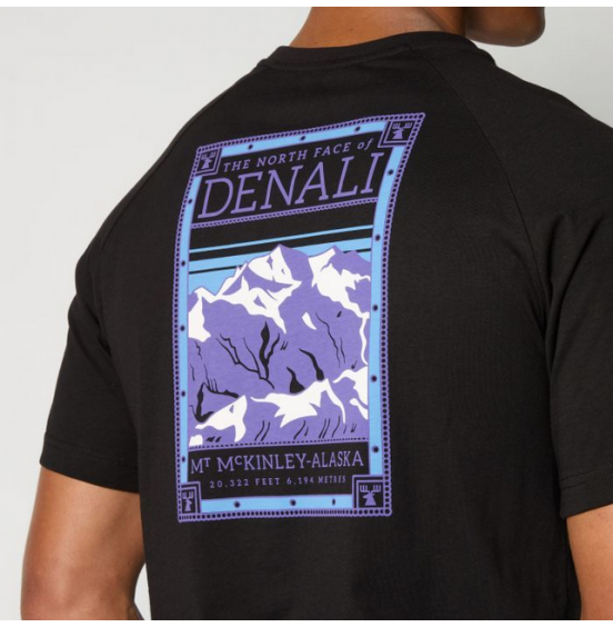 THE NORTH FACE M NORTH FACES TEE NF0A87NUJK31 BLACK