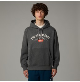 THE NORTH FACE M HOODIE VARSITY GRAPHIC NF0A89DJDYY GREY