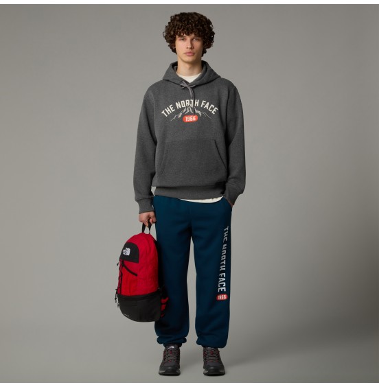 THE NORTH FACE M HOODIE VARSITY GRAPHIC NF0A89DJDYY GREY