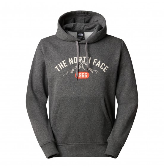 THE NORTH FACE M HOODIE VARSITY GRAPHIC NF0A89DJDYY GREY