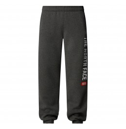 THE NORTH FACE M ΦΟΡΜΑ VARSITY GRAPHIC PANT NF0A89DPDYY GREY HEATHER