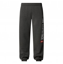 THE NORTH FACE M ΦΟΡΜΑ VARSITY GRAPHIC PANT NF0A89DPDYY GREY HEATHER