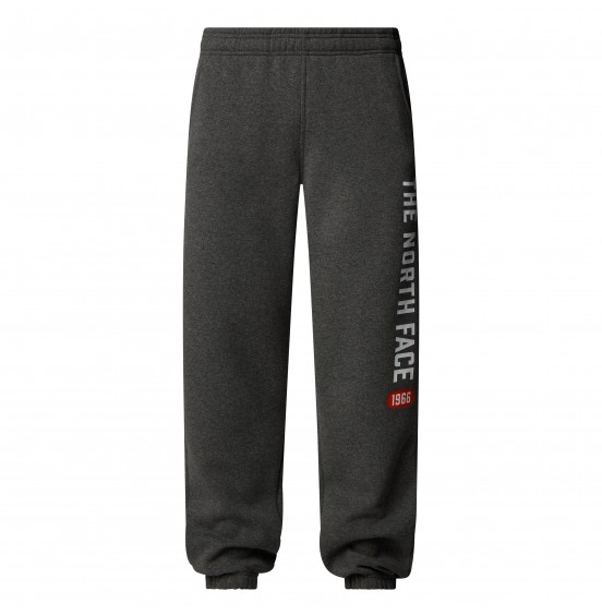 THE NORTH FACE M ΦΟΡΜΑ VARSITY GRAPHIC PANT NF0A89DPDYY GREY HEATHER