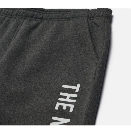 THE NORTH FACE M ΦΟΡΜΑ VARSITY GRAPHIC PANT NF0A89DPDYY GREY HEATHER
