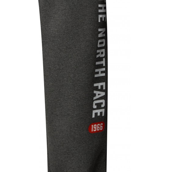 THE NORTH FACE M ΦΟΡΜΑ VARSITY GRAPHIC PANT NF0A89DPDYY GREY HEATHER