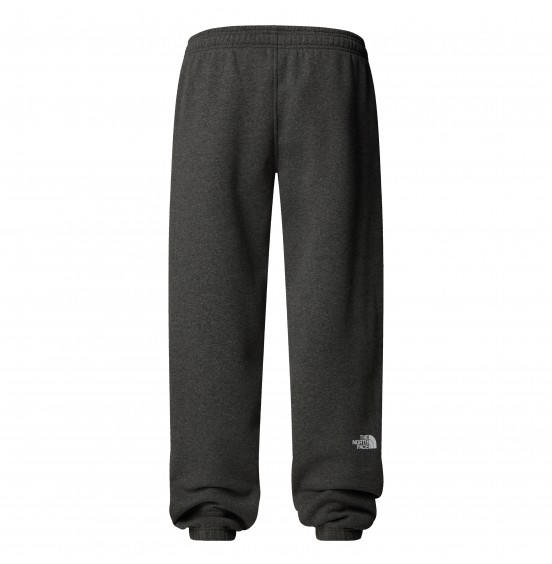 THE NORTH FACE M ΦΟΡΜΑ VARSITY GRAPHIC PANT NF0A89DPDYY GREY HEATHER
