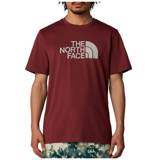 THE NORTH FACE M EASY TEE NF0A8A6C58C SUMAC MOONSTONE