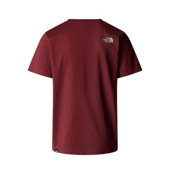 THE NORTH FACE M EASY TEE NF0A8A6C58C SUMAC MOONSTONE