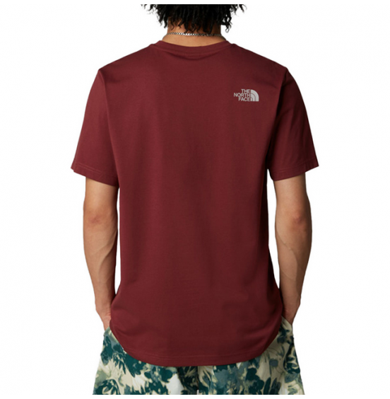 THE NORTH FACE M EASY TEE NF0A8A6C58C SUMAC MOONSTONE