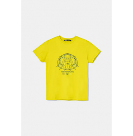 THE NORTH FACE ΠΑΙΔΙΚΟ ΚΟΝΤΟΜΑΝΙΚΟ GRAPHIC RELAXED TEE NF0A8AXGJE31 SULPHUR SPRING