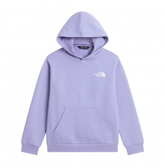 THE NORTH FACE TEEN EVOLUTION BOX HOODIE NF0A8CV5NO5 PALE PLUM