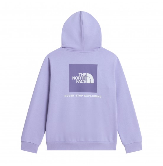 THE NORTH FACE TEEN EVOLUTION BOX HOODIE NF0A8CV5NO5 PALE PLUM