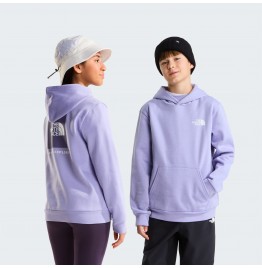 THE NORTH FACE TEEN EVOLUTION BOX HOODIE NF0A8CV5NO5 PALE PLUM