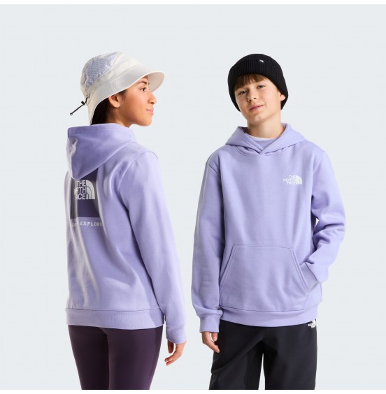 THE NORTH FACE TEEN EVOLUTION BOX HOODIE NF0A8CV5NO5 PALE PLUM