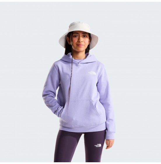 THE NORTH FACE TEEN EVOLUTION BOX HOODIE NF0A8CV5NO5 PALE PLUM