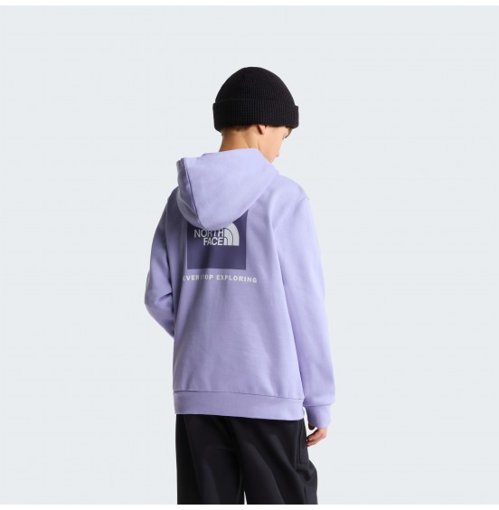 THE NORTH FACE TEEN EVOLUTION BOX HOODIE NF0A8CV5NO5 PALE PLUM