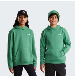 THE NORTH FACE TEEN EVOLUTION SIMPLE DOME HOODIE NF0A8CV6G57 DIMMED ALGAE