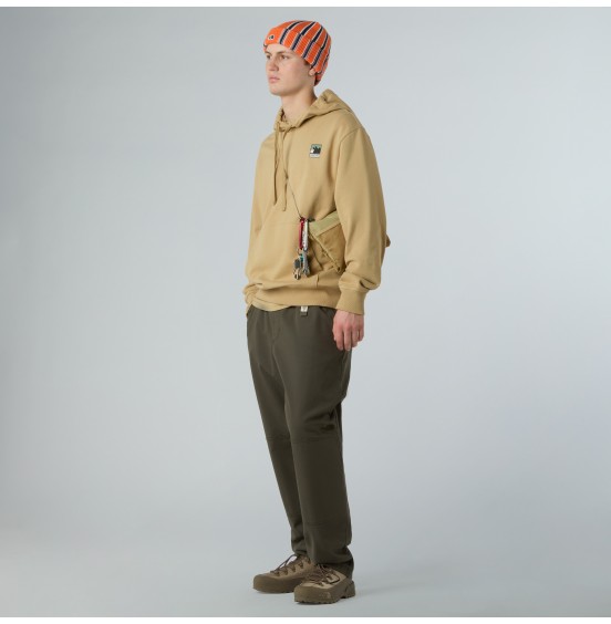 THE NORTH FACE M MOUNTAIN LOGO RELAXED NF0A8E3NLK5 KHAKI STONE