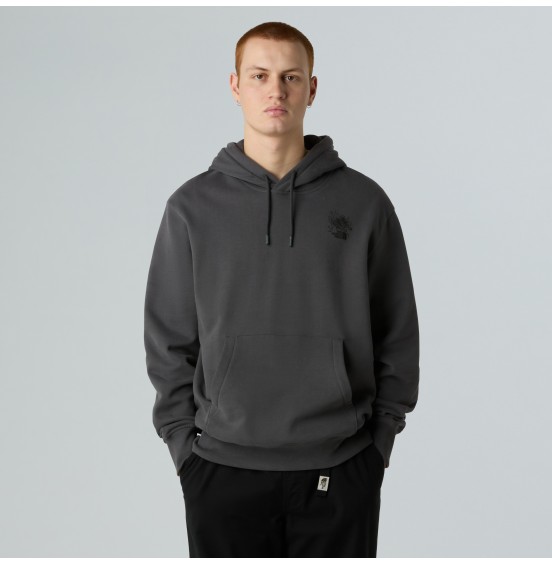 THE NORTH FACE U POWDER DAYS RELAXED GRAPHIC HOODIE NF0A8E4G0C5 ASPHALT GREY