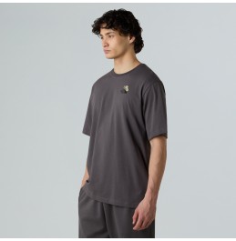 THE NORTH FACE UNISEX FLOWER DOME RELAXED TEE NF0A8EGXRHI1M ANTHRACITE GREY