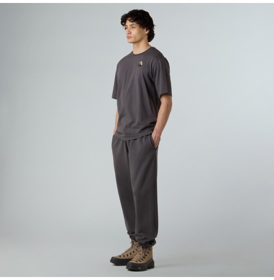 THE NORTH FACE UNISEX FLOWER DOME RELAXED TEE NF0A8EGXRHI1M ANTHRACITE GREY