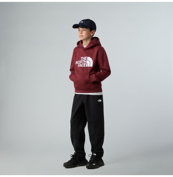 THE NORTH FACE TEEN DREW PEAK HOODIE NF0A8EHH0VO SUMAC