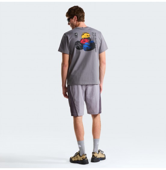THE NORTH FACE M BCD CELABRATION TEE NF0A8GAQ0UZ SMOKED PEARL