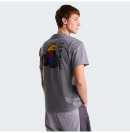 THE NORTH FACE M BCD CELABRATION TEE NF0A8GAQ0UZ SMOKED PEARL