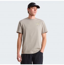 THE NORTH FACE M VAN LIFE RX TEE NF0A8GQN2MB STONE SLAB