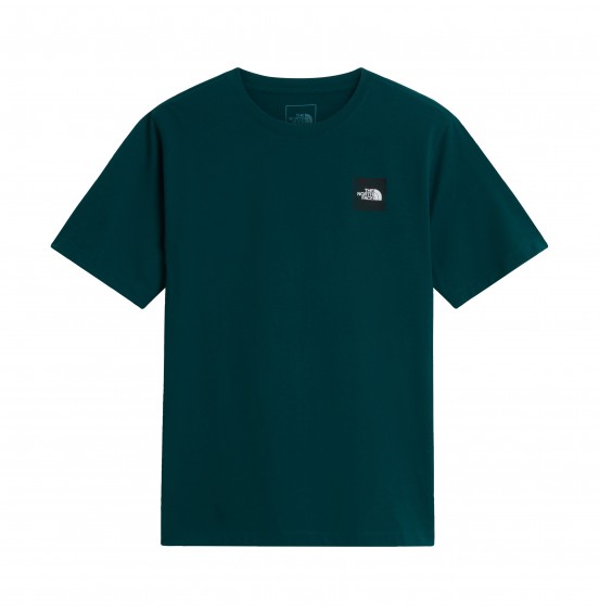 THE NORTH FACE M MONTE REG SS TEE NF0A8JAVN4J PACIFIC TEAL