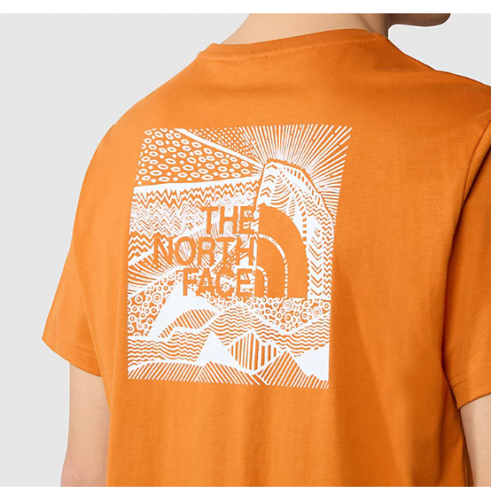 THE NORTH FACE M REDBOX CELEBRATION TEE NF0A87NVPCO DESERT RUST
