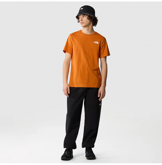 THE NORTH FACE M REDBOX CELEBRATION TEE NF0A87NVPCO DESERT RUST