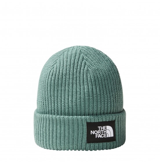 THE NORTH FACE SALTY LINED BEANIE NF0A3FJWI0F-OS-REG DARK SAGE