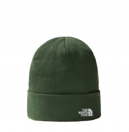 THE NORTH FACE NORM BEANIE NF0A5W1I0P PINE NEEDLE