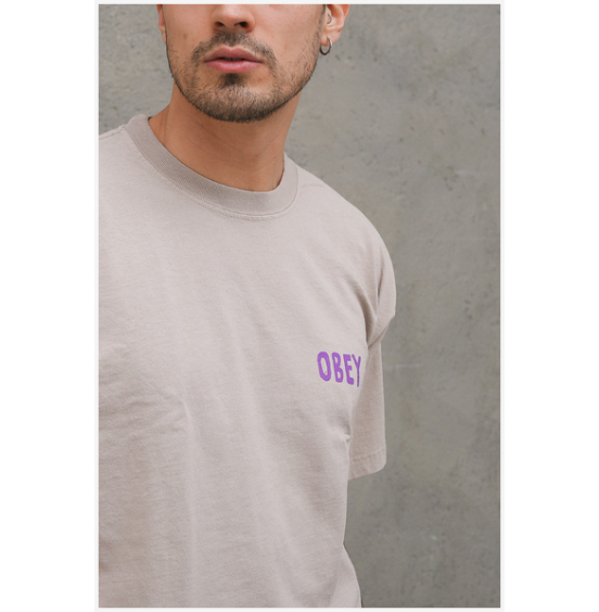 OBEY OG HEAVYWEIGHT CLASSIC BOX T-SHIRT HUMUS (166912601)
