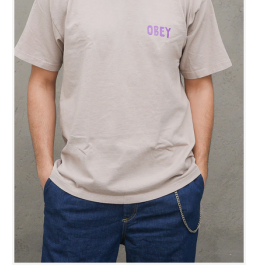 OBEY OG HEAVYWEIGHT CLASSIC BOX T-SHIRT HUMUS (166912601)
